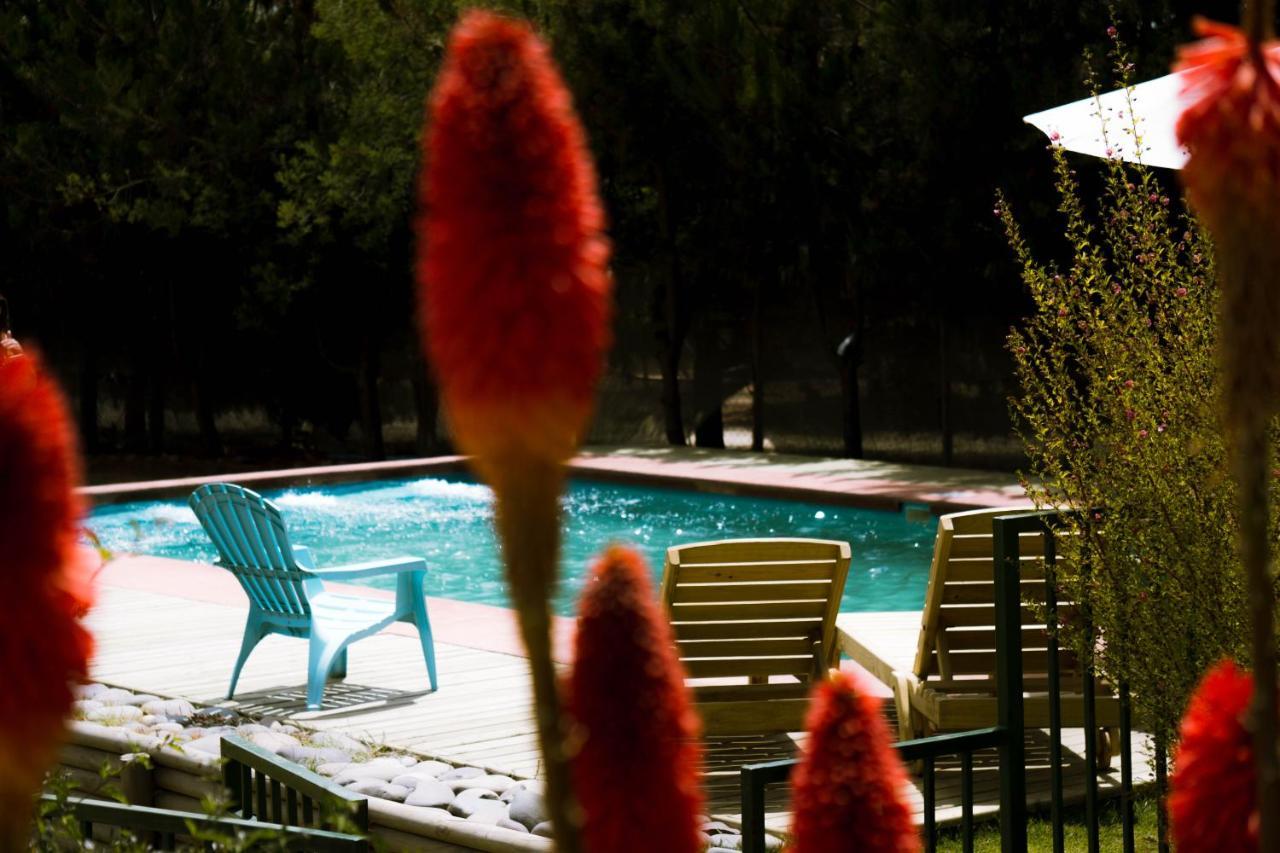 Cabana En Tunquen Con Parrilla, Fogon, Piscina Y Bosque Exterior foto