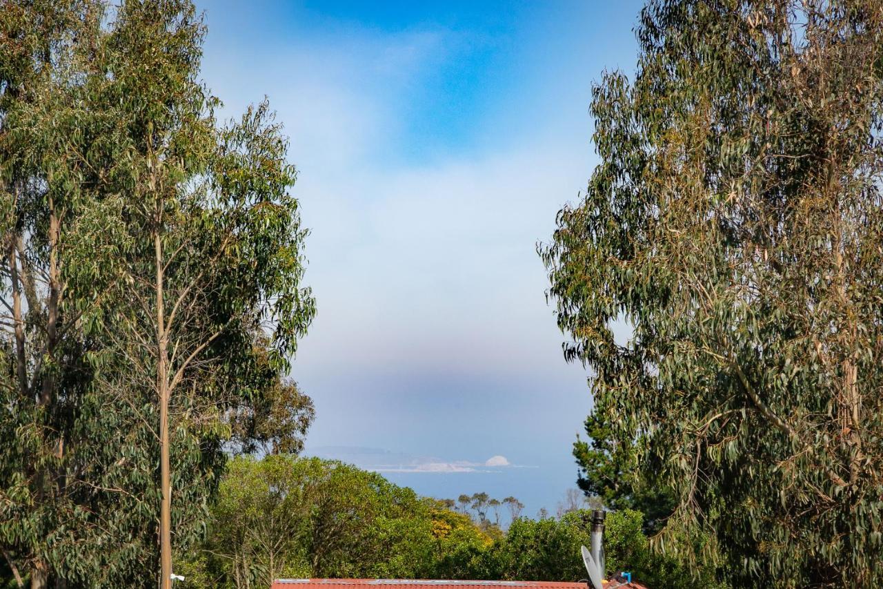 Cabana En Tunquen Con Parrilla, Fogon, Piscina Y Bosque Exterior foto